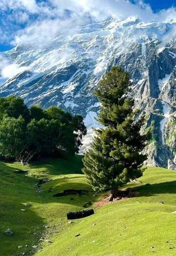 The (@the405) — my photo № 1