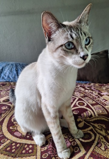 Horacio (@horacio25) — my photo № 1