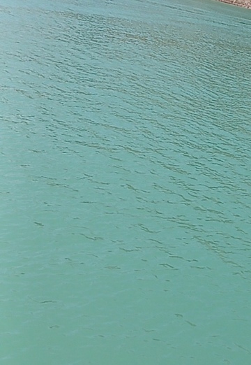 Shahbosz (@shahbosz) — my photo № 1