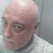 Kot Divuar 61 Moscow