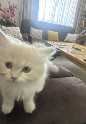 Famous (@famous89) — my photo № 1