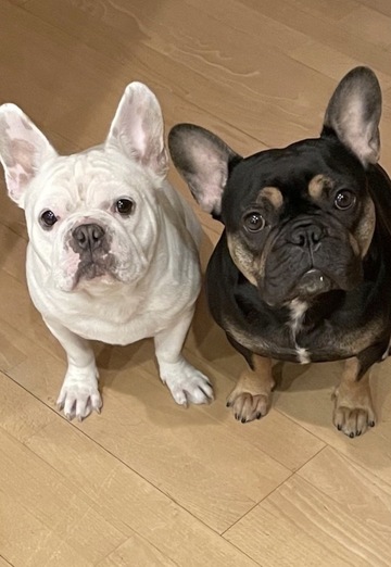 Joseph (@joseph2534) — my photo № 1