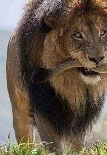 Aziz (@aziz21767) — my photo № 2