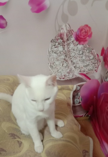 Aleks (@aleks167453) — my photo № 2