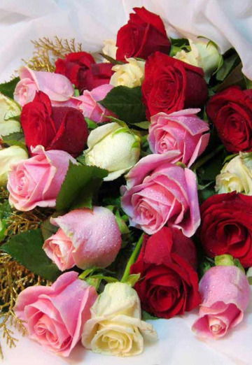 Guddu (@guddu43) — my photo № 1