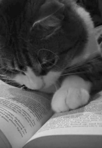 Alya (@alya18126) — my photo № 1