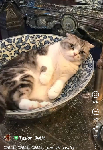 Shen (@shen92) — my photo № 1