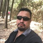 Alexander 41 Tlalpan