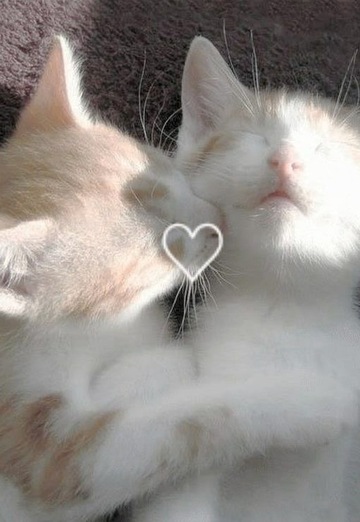 KimManda (@kimmanda) — my photo № 1