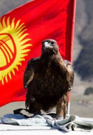 Alik (@alik55683) — my photo № 1