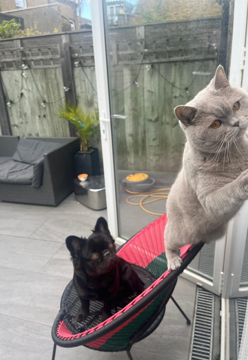 Name (@name8492) — my photo № 3