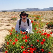Ivan 36 Ipswich