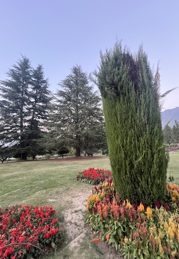 Lateef (@lateef27) — my photo № 1