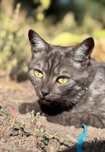 Roman (@roman304368) — my photo № 1