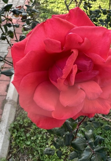 Denni (@denni372) — my photo № 2