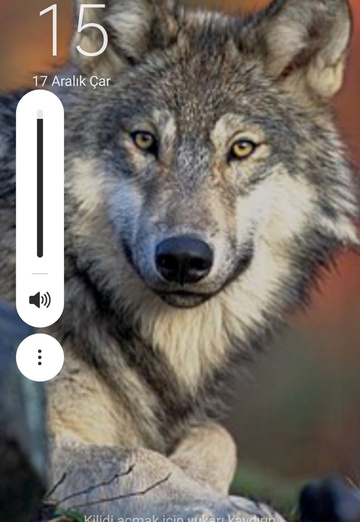 Davut (@davut146) — my photo № 1