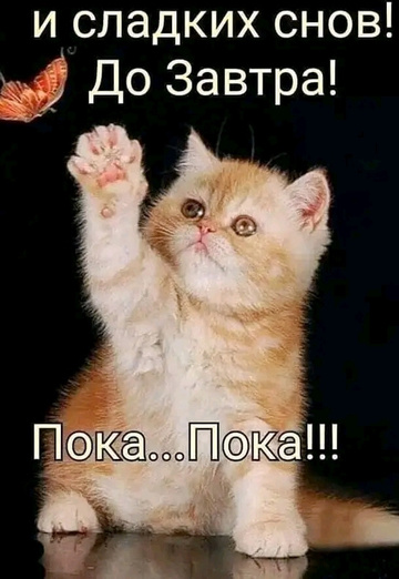 LILIYa. 🇺🇦🇺🇦🇺🇦 (@liliya38412) — my photo № 16