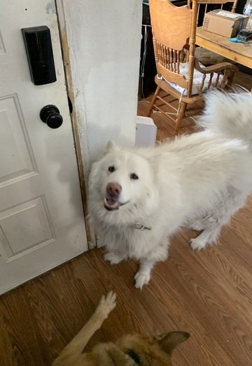 Jase (@jase29) — my photo № 3