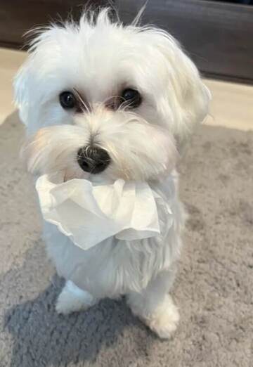 James wong (@jameswong6) — my photo № 3