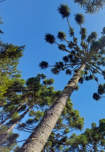 Gustavo (@gustavo633) — my photo № 7