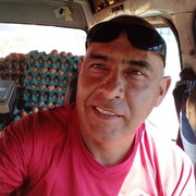 Jose 49 San Borja
